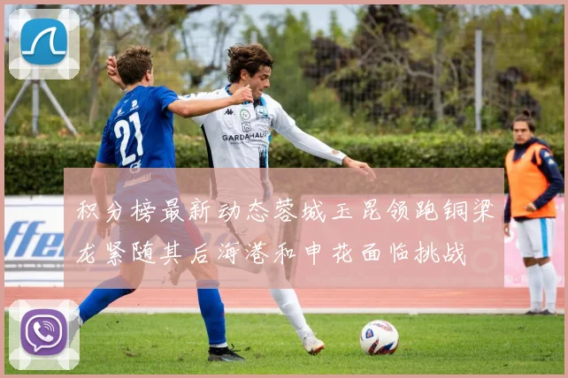 积分榜最新动态蓉城玉昆领跑铜梁龙紧随其后海港和申花面临挑战