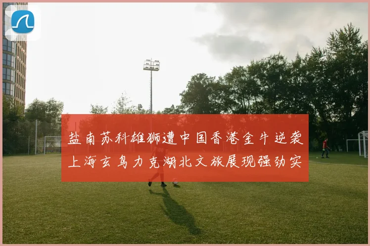 盐南苏科雄狮遭中国香港金牛逆袭上海玄鸟力克湖北文旅展现强劲实力