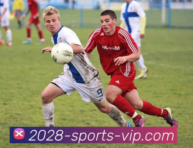 2028体育发展历程